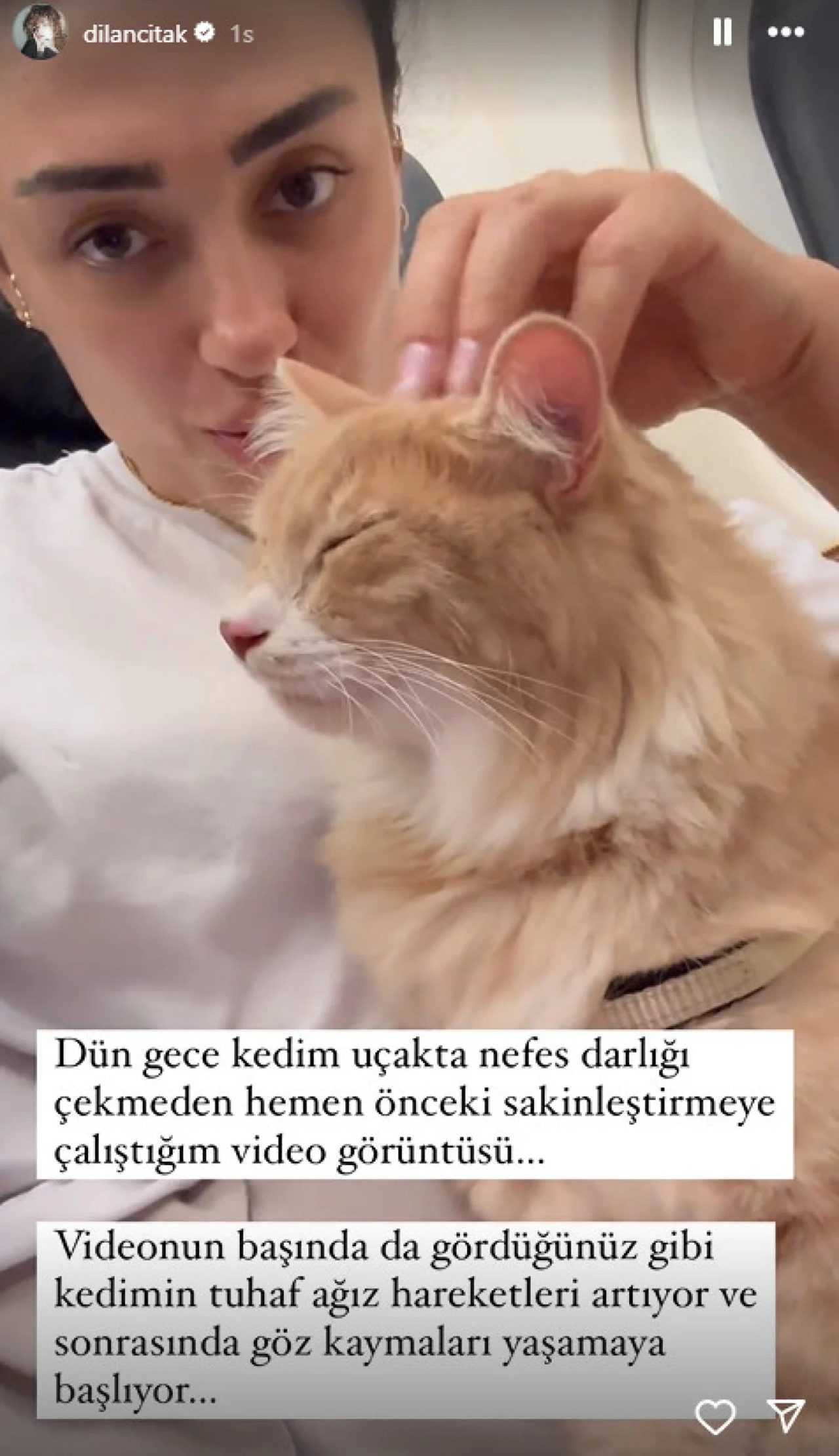 Dilan Çıtak Tatlıses'in Uçak Krizi: Hostesle Gerilim 1 Dilan Citak Tatlisesin Ucak Krizi Hostesle Gerilim 1