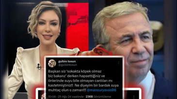 Gülbin Tosun Now TV’den Ayrıldı