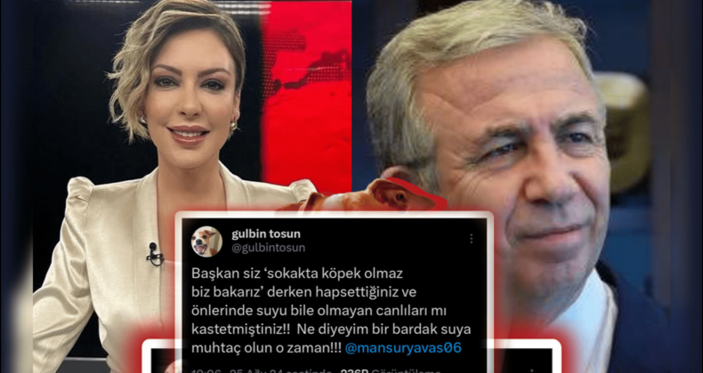 Gülbin Tosun Now TV’den Ayrıldı