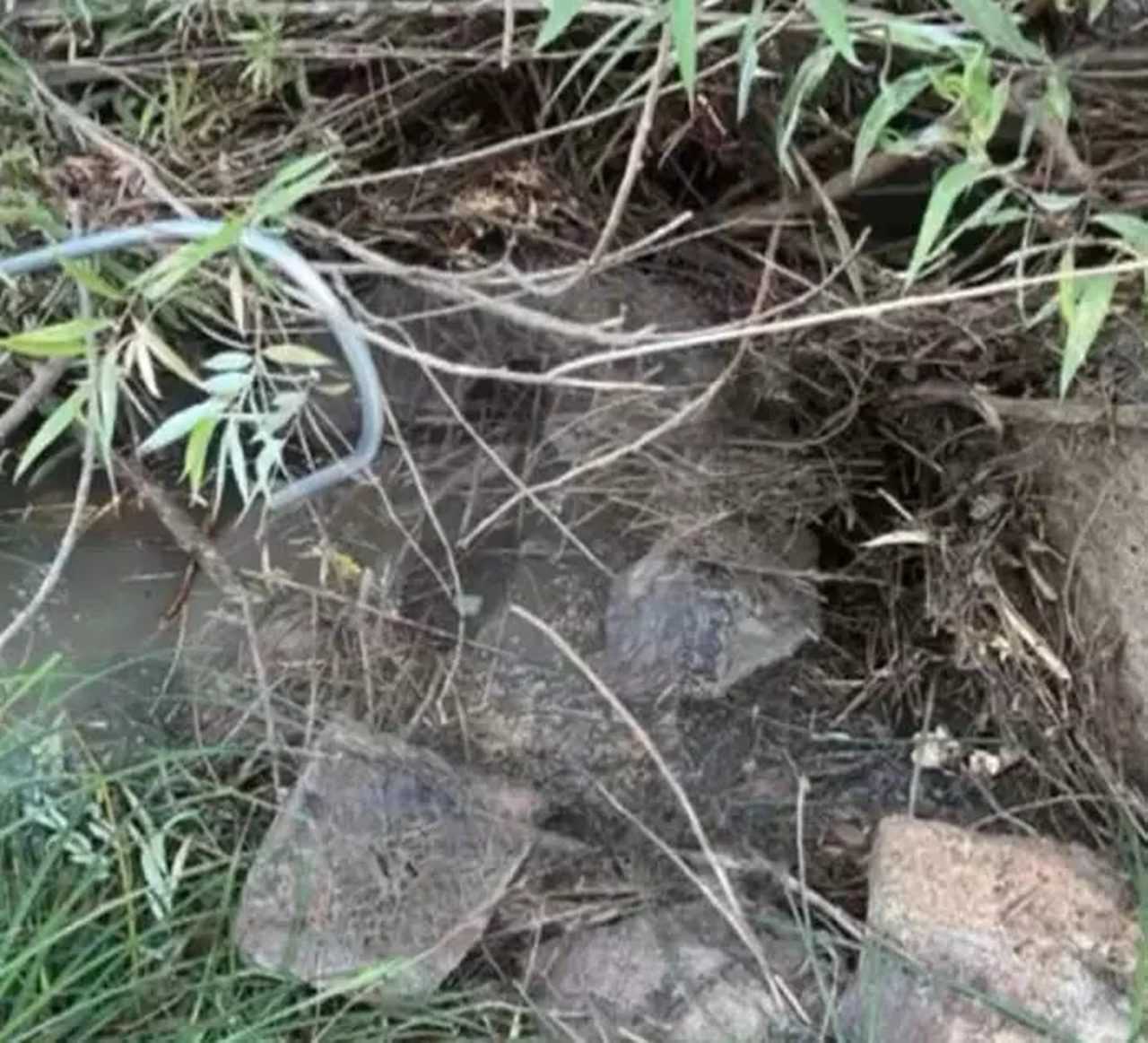 Narin Güran Davasında 11 Tutuklu, Şoke Eden Cenaze Fotoğrafı 2 Narin Guran Davasinda 11 Tutuklu Soke Eden Cenaze Fotografi 3
