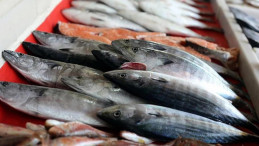 Omega-3’ün Gücü: Kalbinizi Korumak İçin Taze Balık