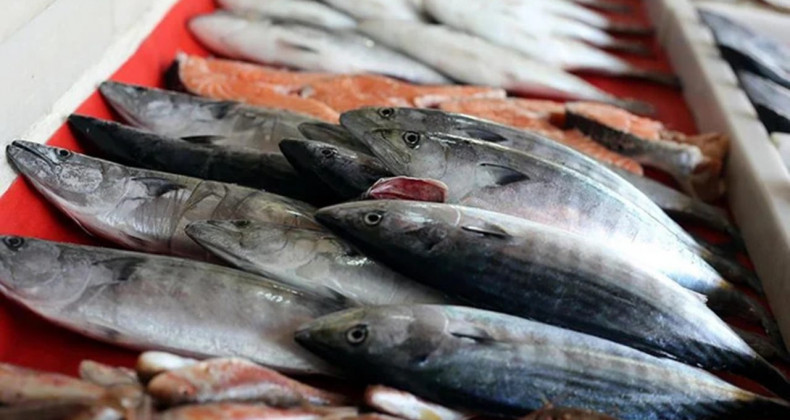 Omega-3’ün Gücü: Kalbinizi Korumak İçin Taze Balık