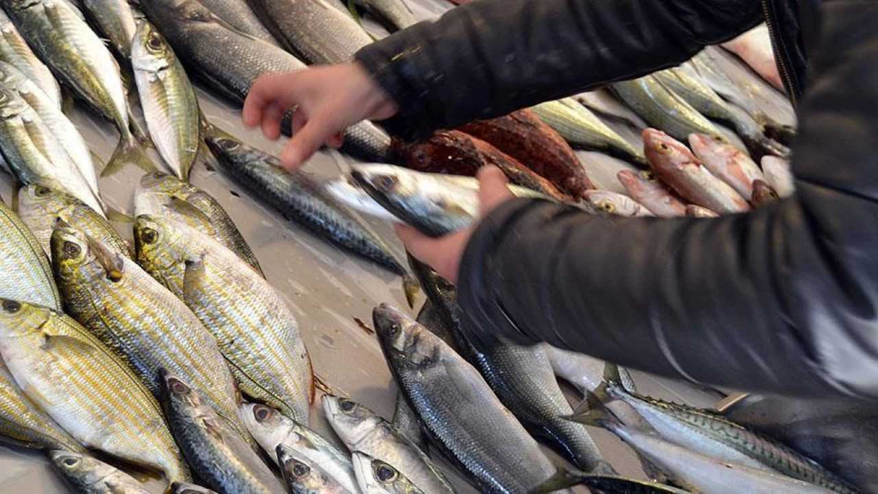 Omega-3’ün Gücü: Kalbinizi Korumak İçin Taze Balık 1 Omega 3un Gucu Kalbinizi Korumak Icin Taze Balik 2