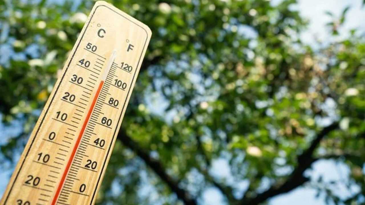 Sıcaklıklar Artıyor: Yağışlı Günler Geride Kaldı 4 Sicakliklar Artiyor Yagisli Gunler Geride Kaldi 5