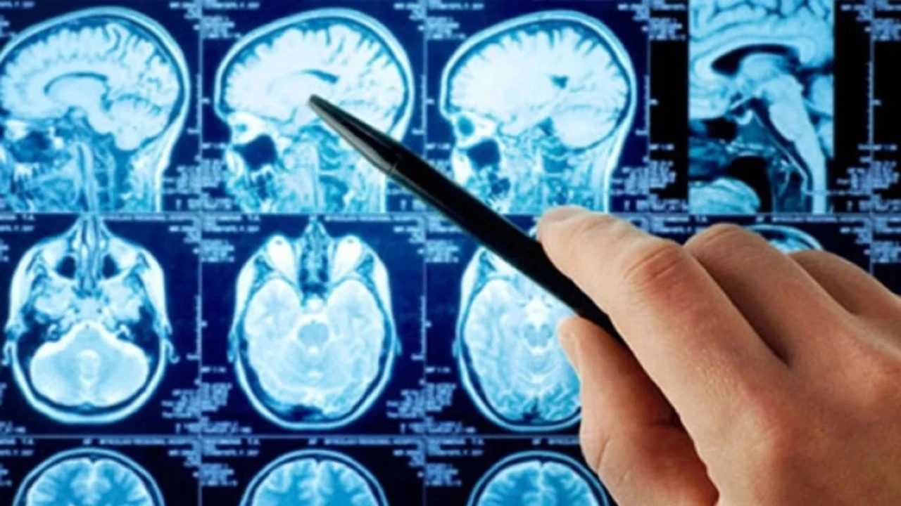 Bilim İnsanı Sancar'dan Çığır Açan Kanser Tedavi Yöntemi 4 Bilim Insani Sancardan Cigir Acan Kanser Tedavi Yontemi 5