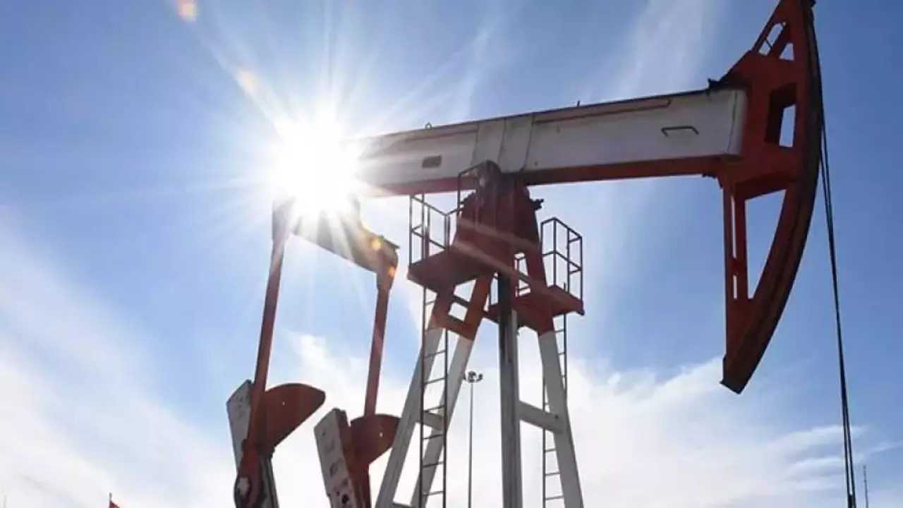 Edirne’de TPAO’ya 5 Yıl Süreyle Petrol Arama Ruhsatı Verildi 3 Edirnede TPAOya 5 Yil Sureyle Petrol Arama Ruhsati Verildi 4