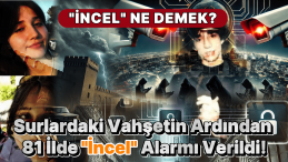 Surlardaki Vahşet Sonrası “İncel” Alarmı! İncel Ne Demek?