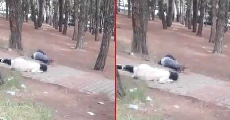 Bakırköy'de Hastane Cinayet: Karısını Öldürüp İntihar Etti! 2 GZh iewW0AUEe9j
