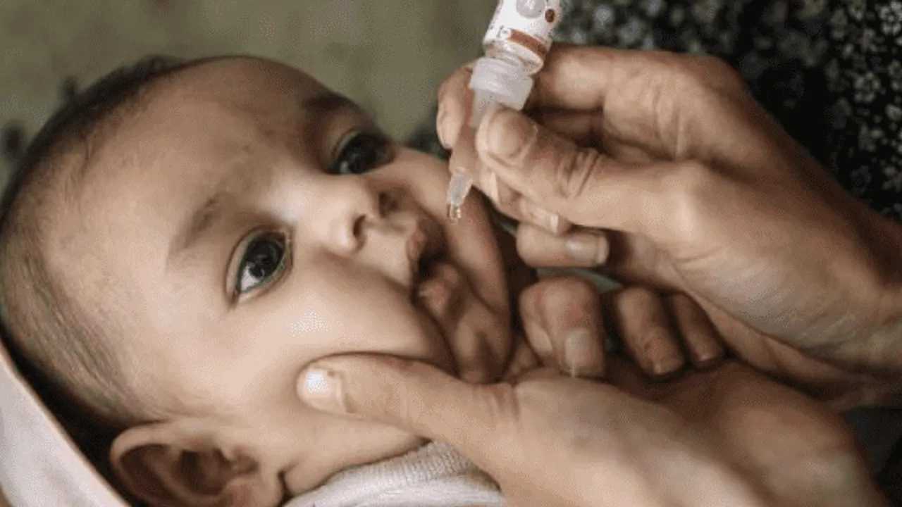 Gazze'de 370. Gün: UNICEF’ten Acil Aşı Hamlesi 3 Gazzede 370. Gun UNICEFten Acil Asi Hamlesi 4