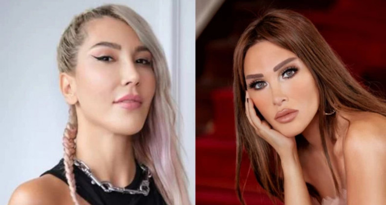 Hande Yener: İnsanlıktan Utanıyorum, Hayvan Olmak İsterdim