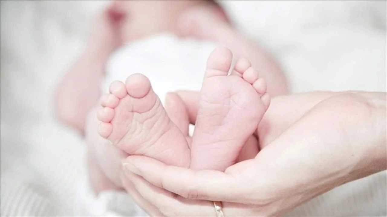 İstanbul'daki Yenidoğan Çetesi Çökertildi 7 Istanbuldaki Yenidogan Cetesi Cokertildi 8