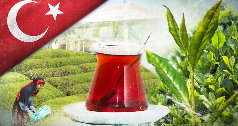 Türk Çayı Dünyayı Sarıyor: İhracatta Rekor Seviye