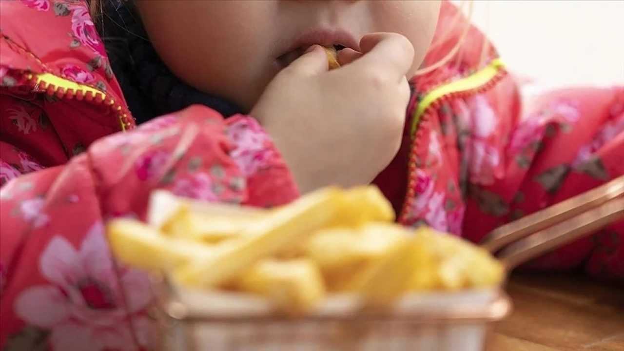 Turkiyede Obezite Alarmi 2060da Yuzde 94e Ulasacak 4
