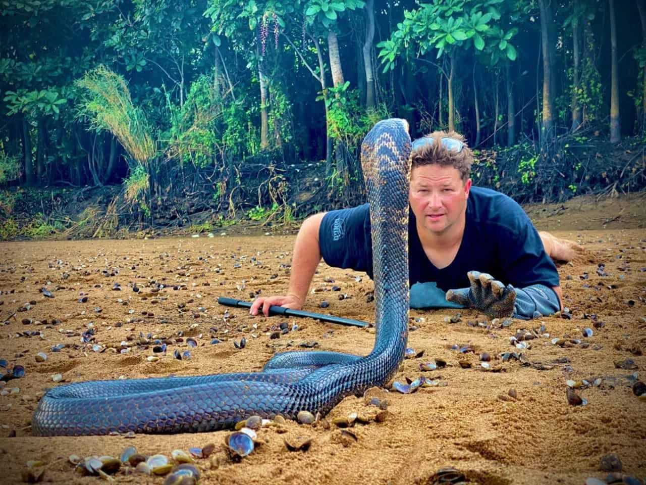 Kobra Isırığı Ünlü YouTuber Dingo'nun Sonu Oldu 3 kobra isirigi unlu youtuber dingonun sonu oldu 4