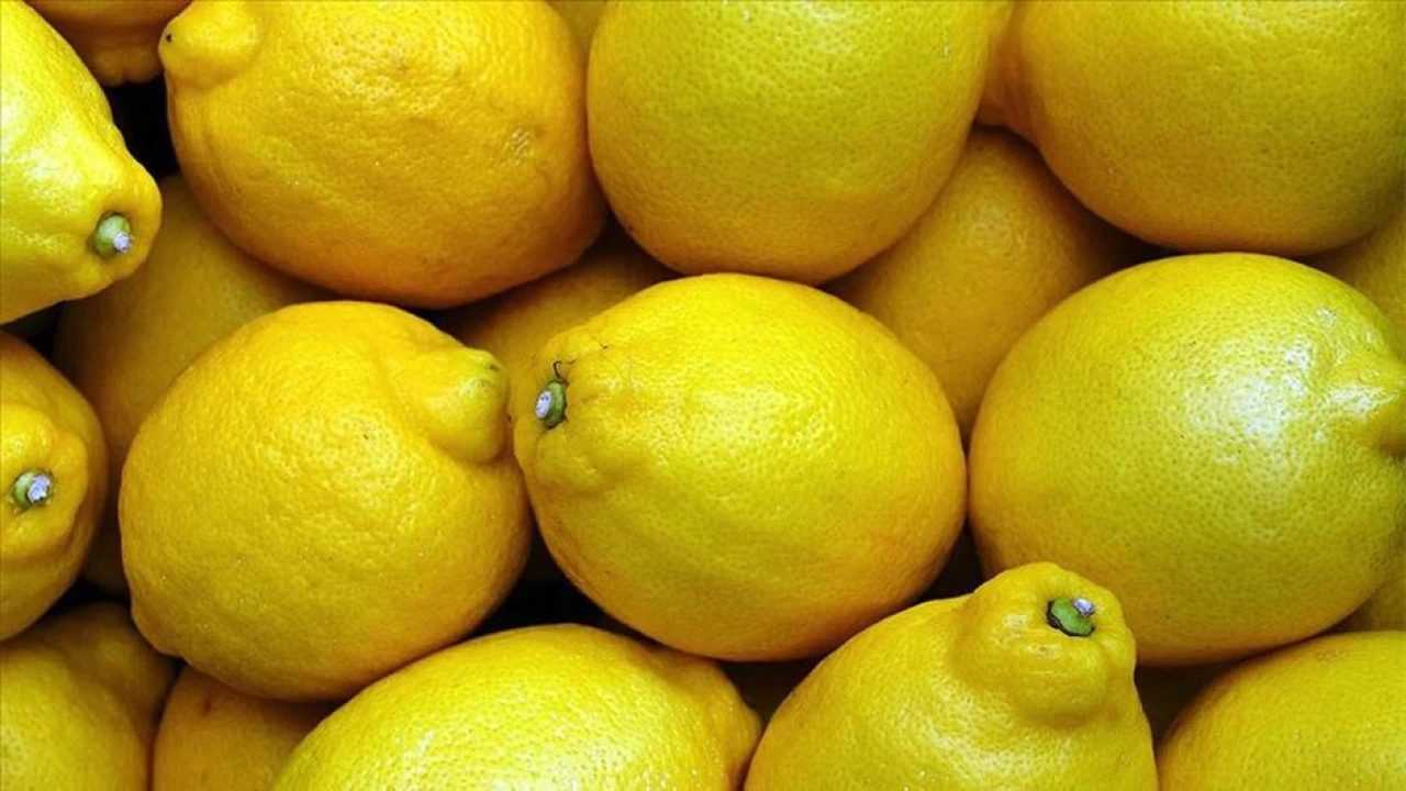 Ekim Fiyatları: Sivri Biber Zirvede, Limon Dibe Vurdu 2 Ekim Fiyatlari Sivri Biber Zirvede Limon Dibe Vurdu 3