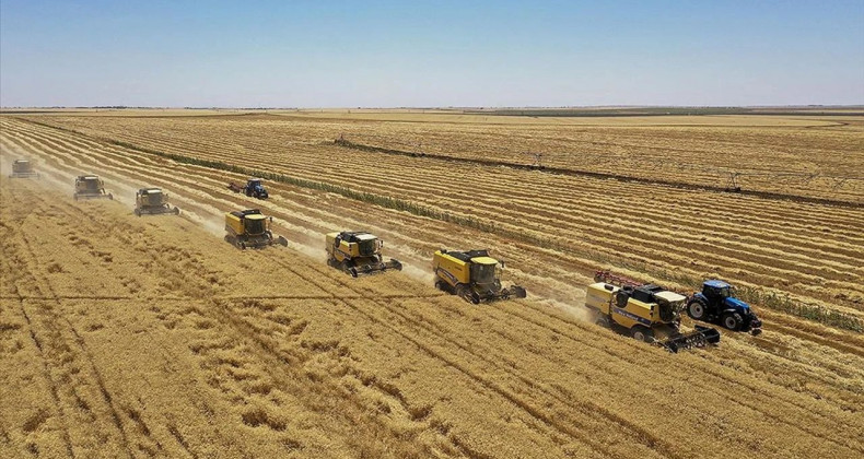 Tarımda Yeni Dönem: Planlı Üretimle Güçlü Gelecek