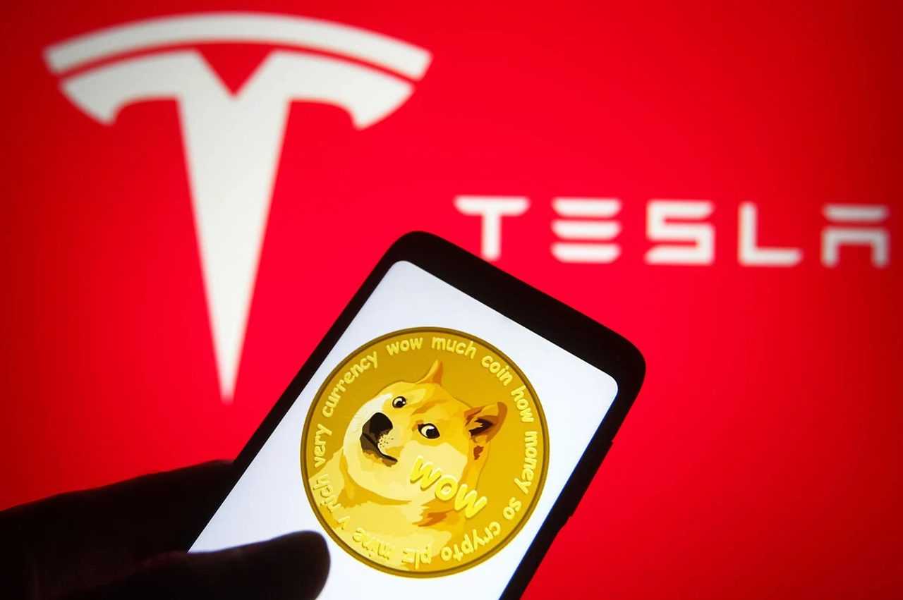 Trumpin Zaferi Kriptoyu Ucurdu Dogecoin Yuzde 25 Yukseldi 2