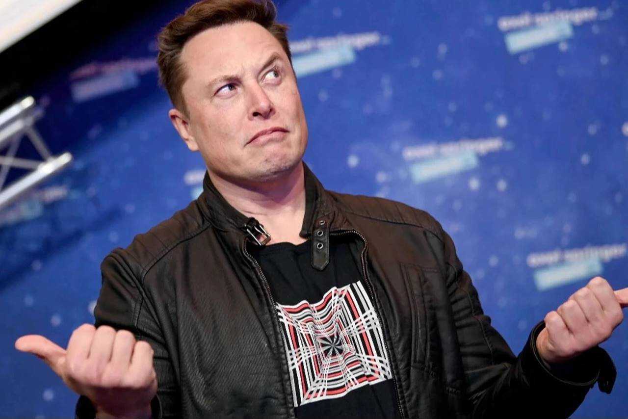 Almanyada Erken Secim Musk ve AfD Gerginligi 2