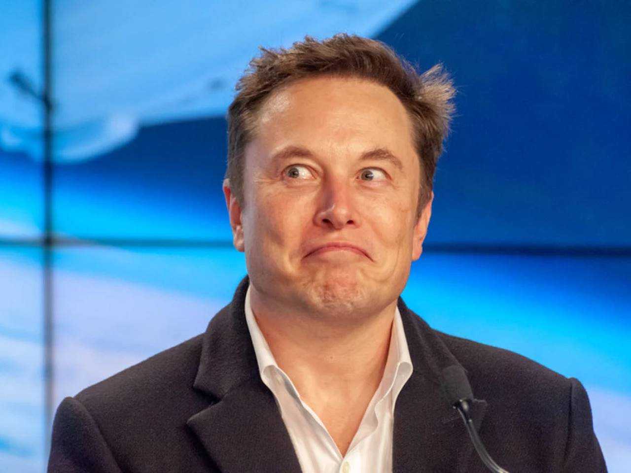 Almanyada Erken Secim Musk ve AfD Gerginligi 3