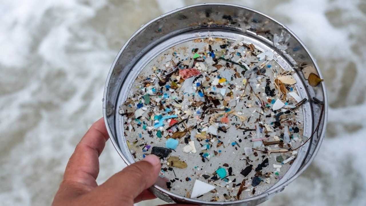 Mikroplastikler: Sağlığımızı Sinsi Bir Şekilde Tehdit Ediyor 3 Mikroplastikler Sagligimizi Sinsi Bir Sekilde Tehdit Ediyor 4