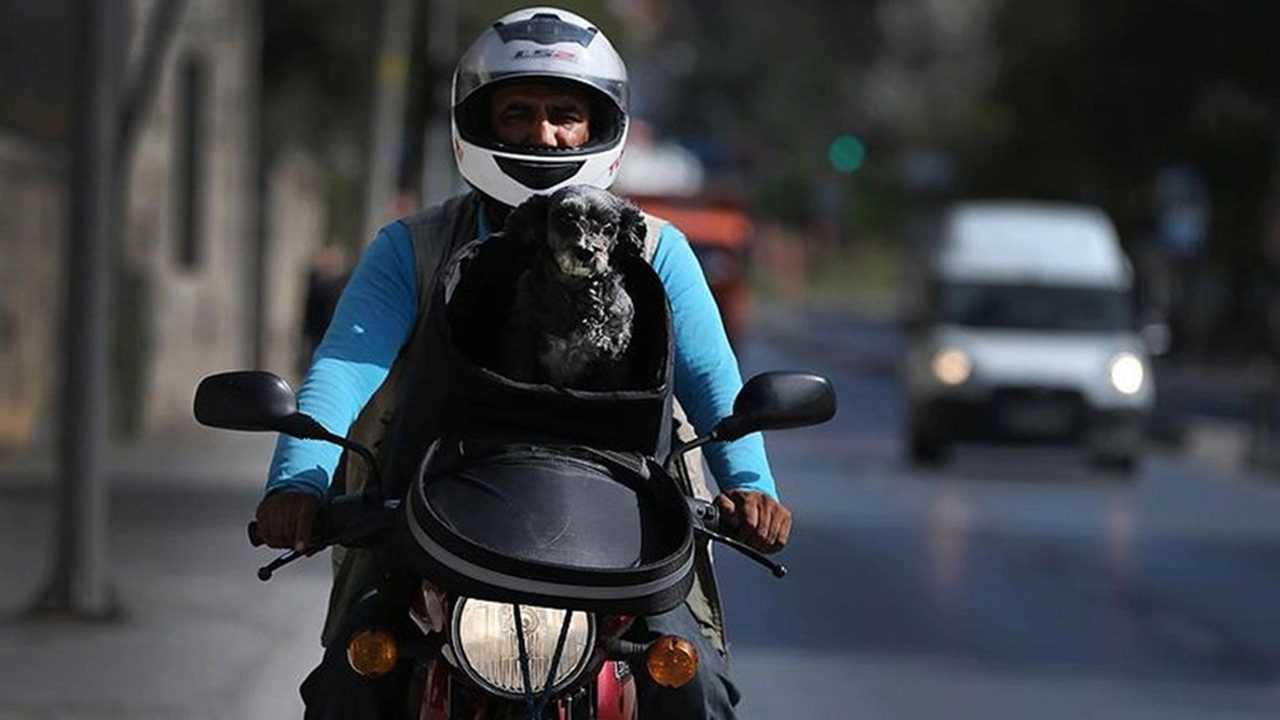 Dijital Kuryelere Yeni Düzenleme: Posta Sektörüne Girdi 2 Dijital Kuryelere Yeni Duzenleme Posta Sektorune Girdi 3