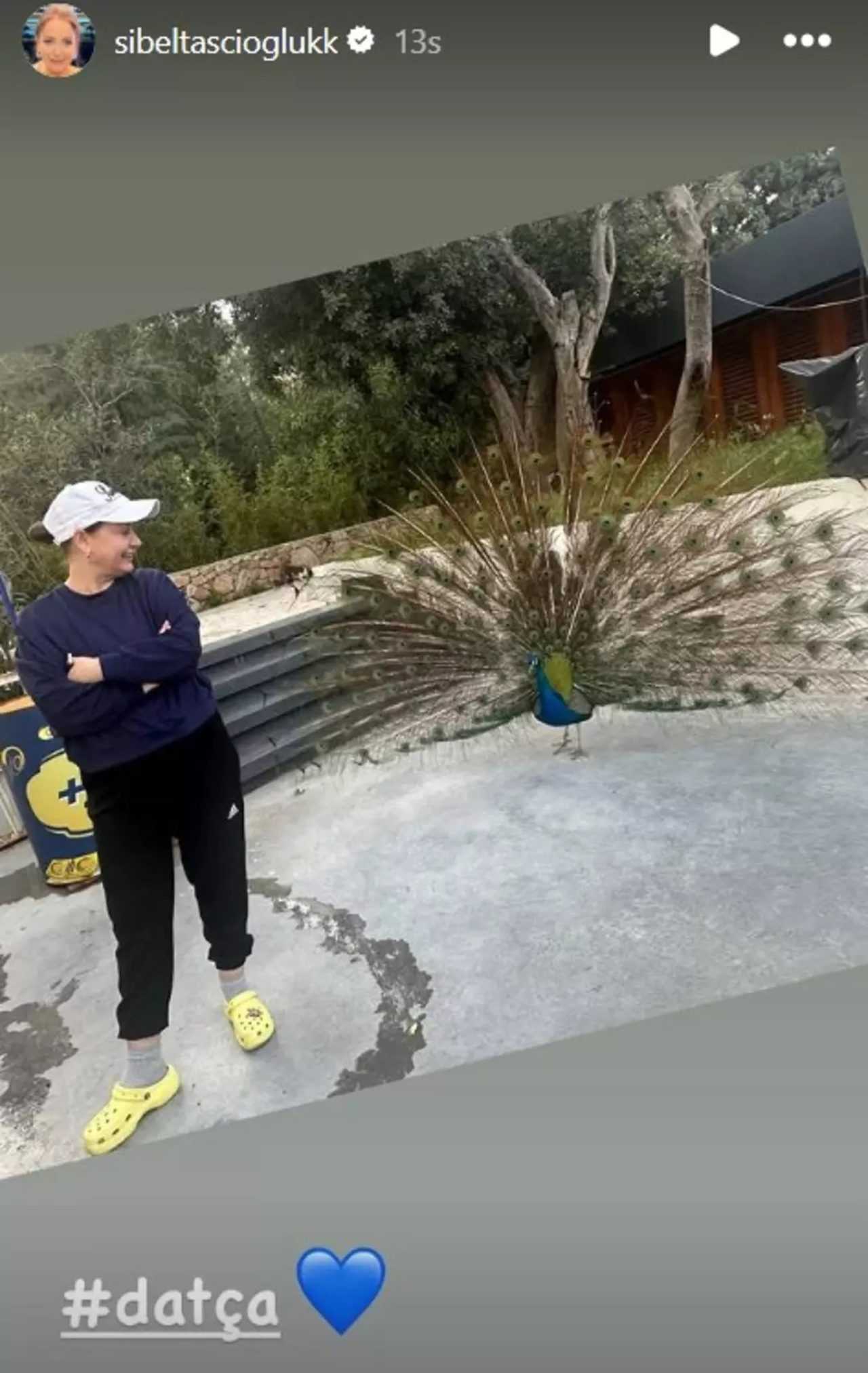 Kızılcık Şerbeti'ne Veda: Sibel Taşçıoğlu'ndan Olay Hamle 3 Kizilcik Serbetine Veda Sibel Tascioglundan Olay Hamle 4