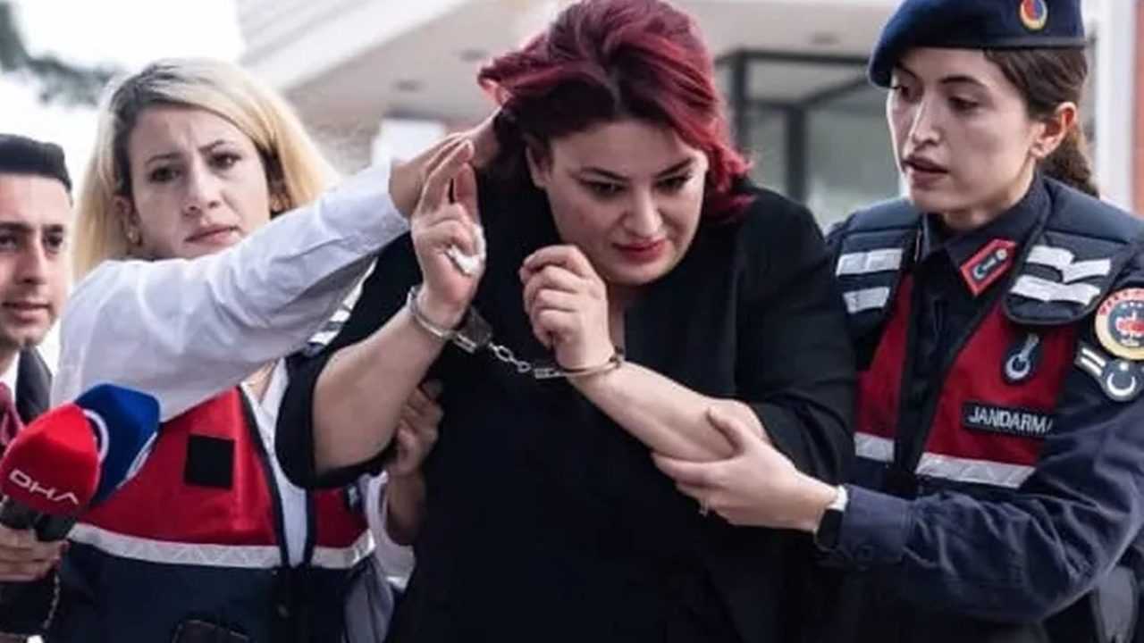 Yenidoğan Çetesi: 13 Yeni Şüpheli, Şok İddianame 3 Yenidogan Cetesi 13 Yeni Supheli Sok Iddianame 3