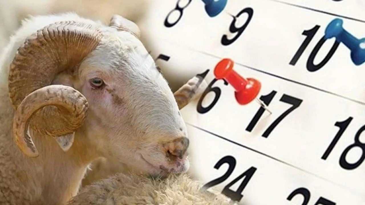 Kurban Bayramı Tatil Takvimi Belli Oldu 4 Kurban Bayrami Tatil Takvimi Belli Oldu 2