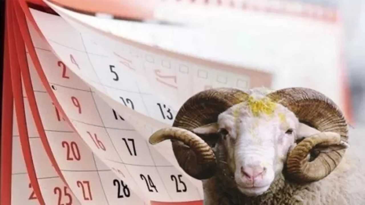Kurban Bayramı Tatil Takvimi Belli Oldu 1 Kurban Bayrami Tatil Takvimi Belli Oldu 3