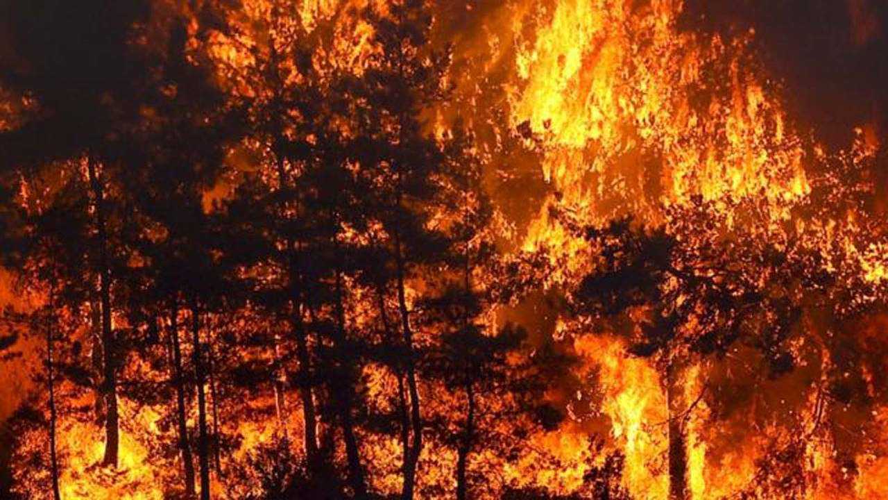 Ates Turkiyeyi Sardi Bilecik ve Izmir Alarmda 3