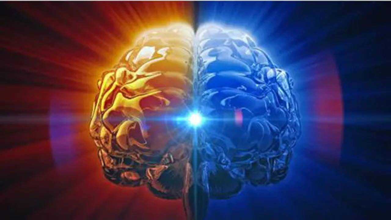 Beynimizin Hafıza Kapasitesi Sınırsız mı? Bilim Ne Diyor? 1 Beynimizin Hafiza Kapasitesi Sinirsiz mi Bilim Ne Diyor 2