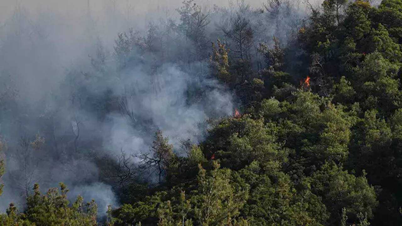 Eskişehir’de Orman Yangını: 10 Kahraman Şehit Oldu 4 Eskisehirde Orman Yangini 10 Kahraman Sehit Oldu 5