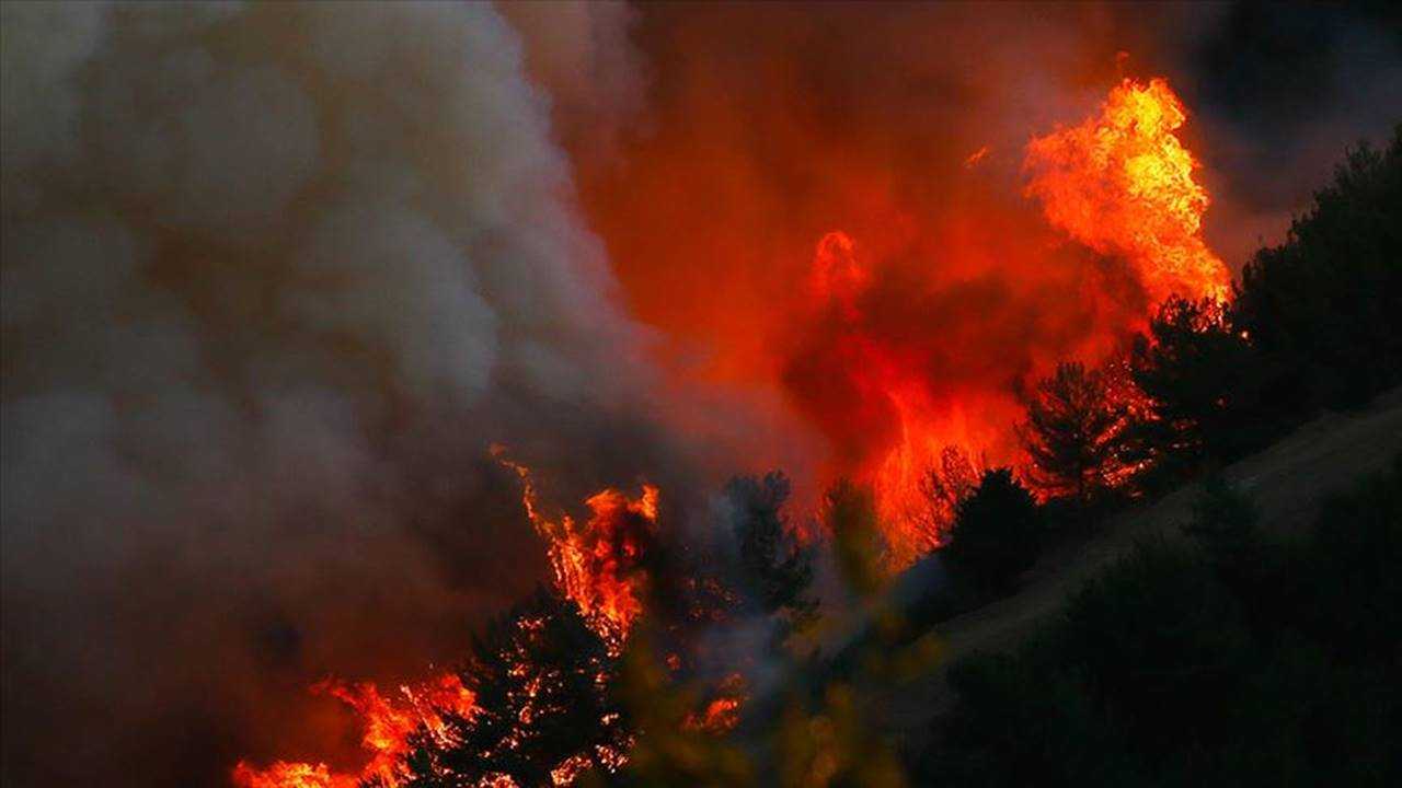 Ormanlar Icin Alarm Zamani Onlem Al Gec Kalma 2