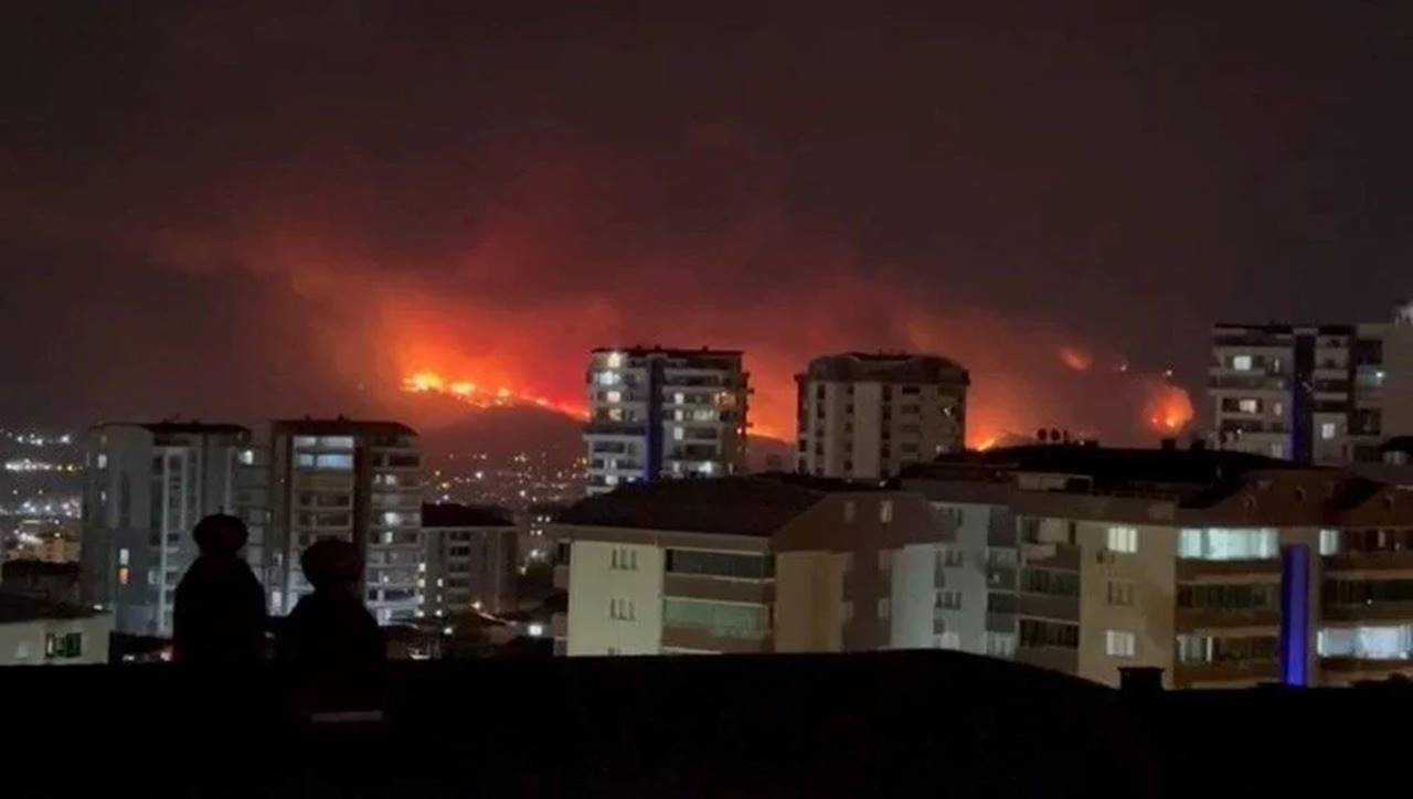 Türkiye Alev Alev: Ormanlar Yanıyor, Umutlar Direniyor 10 Turkiye Alev Alev Ormanlar Yaniyor Umutlar Direniyor 11