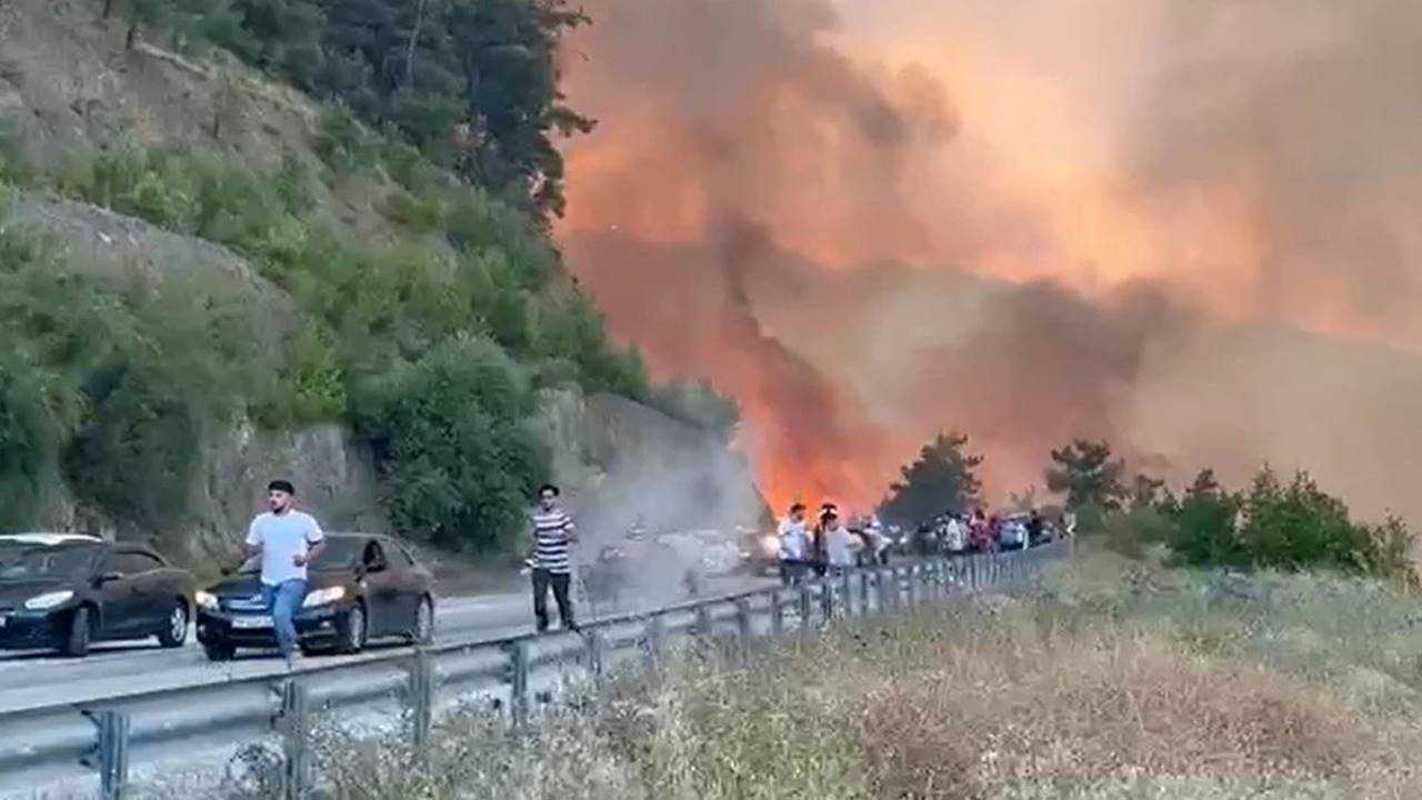 Türkiye Alev Alev: Ormanlar Yanıyor, Umutlar Direniyor 11 Turkiye Alev Alev Ormanlar Yaniyor Umutlar Direniyor 12