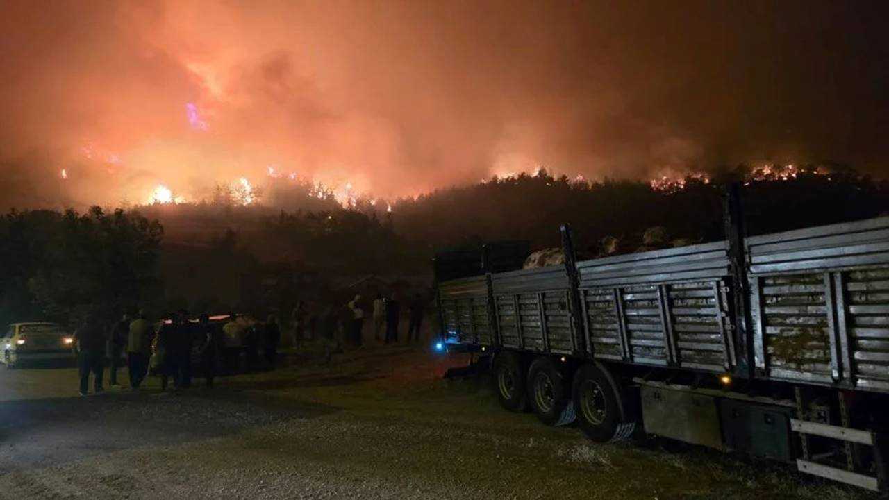 Türkiye Alev Alev: Ormanlar Yanıyor, Umutlar Direniyor 18 Turkiye Alev Alev Ormanlar Yaniyor Umutlar Direniyor 19