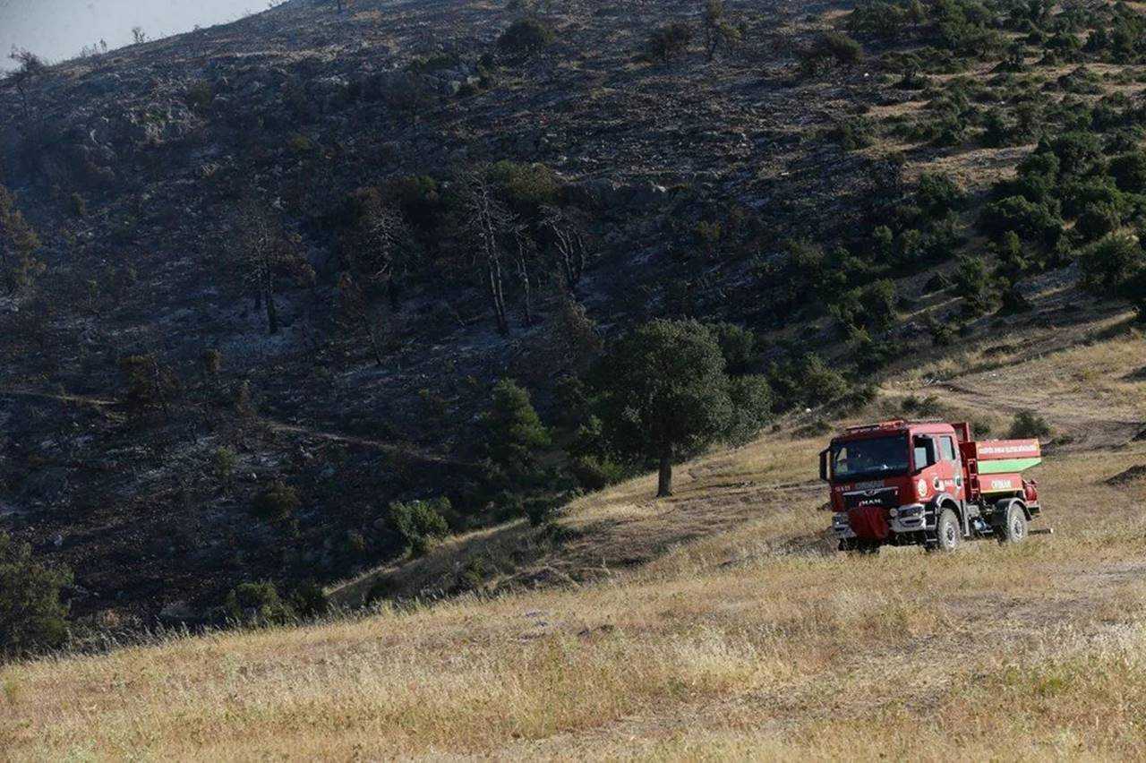 Türkiye Alev Alev: Ormanlar Yanıyor, Umutlar Direniyor 7 Turkiye Alev Alev Ormanlar Yaniyor Umutlar Direniyor 8