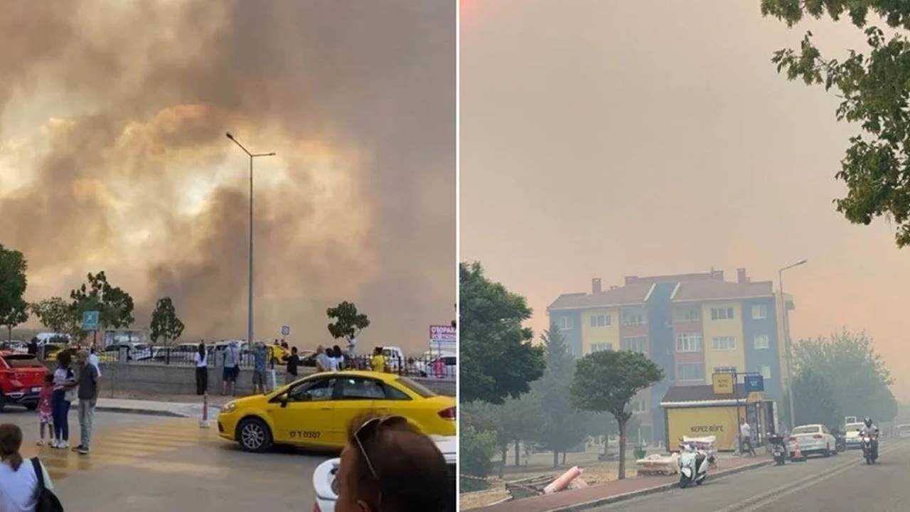 Türkiye Alevlerle Savaşta: Orman Yangınları Alarm Veriyor 7 Turkiye Alevlerle Savasta Orman Yanginlari Alarm Veriyor 8