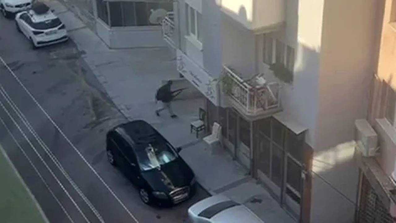 Balçova’da Kanlı Saldırı: 2 Polis Şehit, Şüpheli Yakalandı 1 Balcovada Kanli Saldiri 2 Polis Sehit Supheli Yakalandi 2