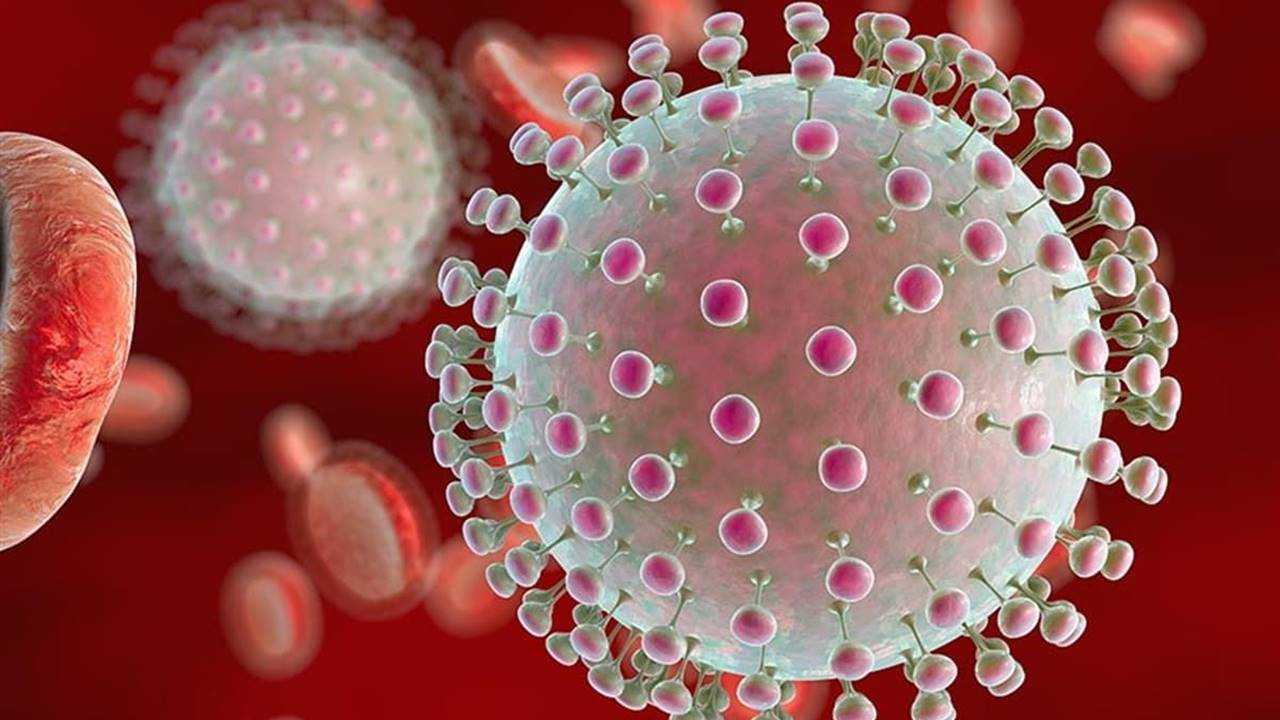 Frankenstein Varyantı Hızla Yayılıyor 3 Frankenstein Varyanti Hizla Yayiliyor 4