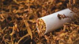 Sigara Bırakmak Artık Daha Kolay: Yeni Dönem Başlıyor