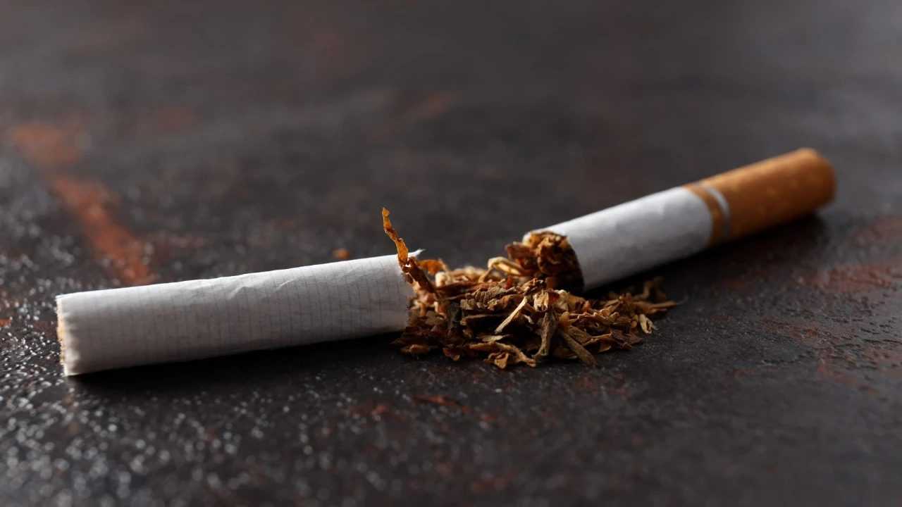 Sigara Piyasasında Şok Zam Dalgalanması 4 Sigara Piyasasinda Sok Zam Dalgalanmasi 5