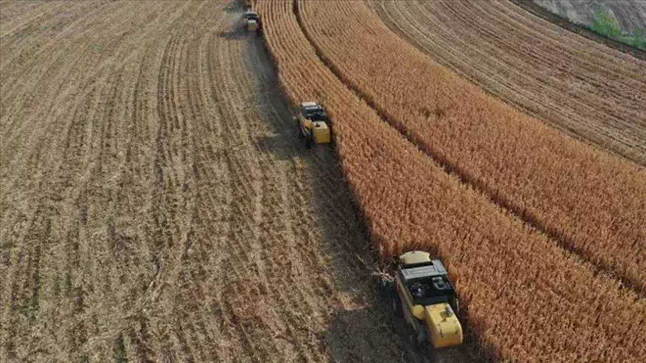 Ciftciye 15 Milyar Liralik Destek Bugun Odeniyor 4