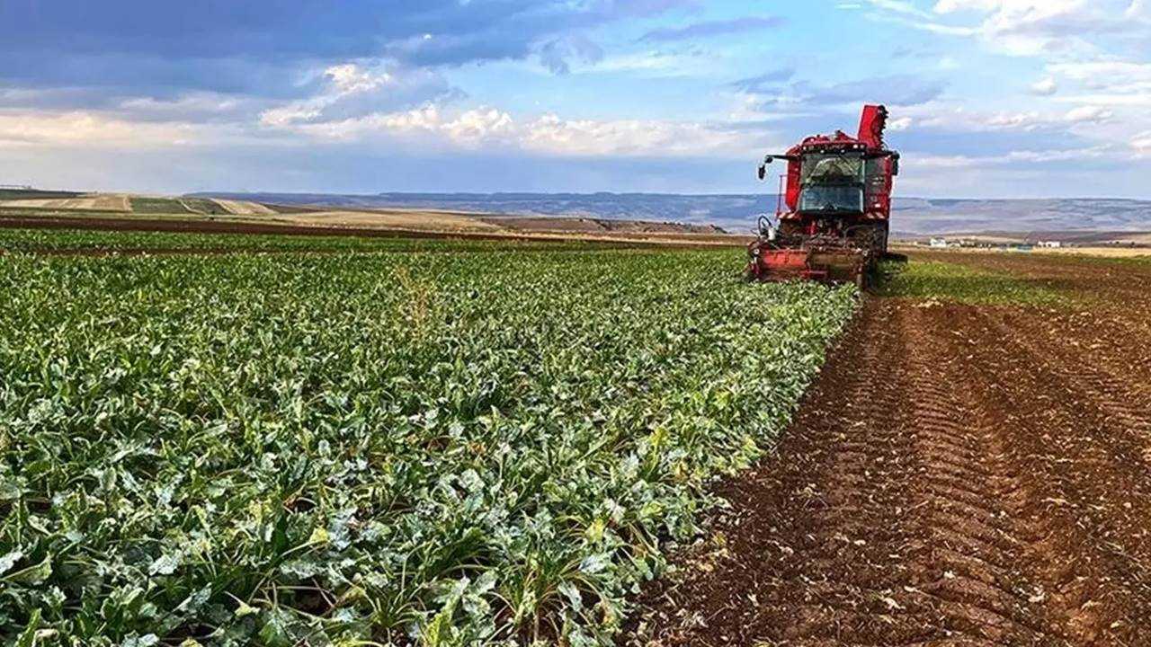 Çiftçiye Dev Destek: 711 Milyon TL Hesaplara Yatıyor 4 Ciftciye Dev Destek 711 Milyon TL Hesaplara Yatiyor 5
