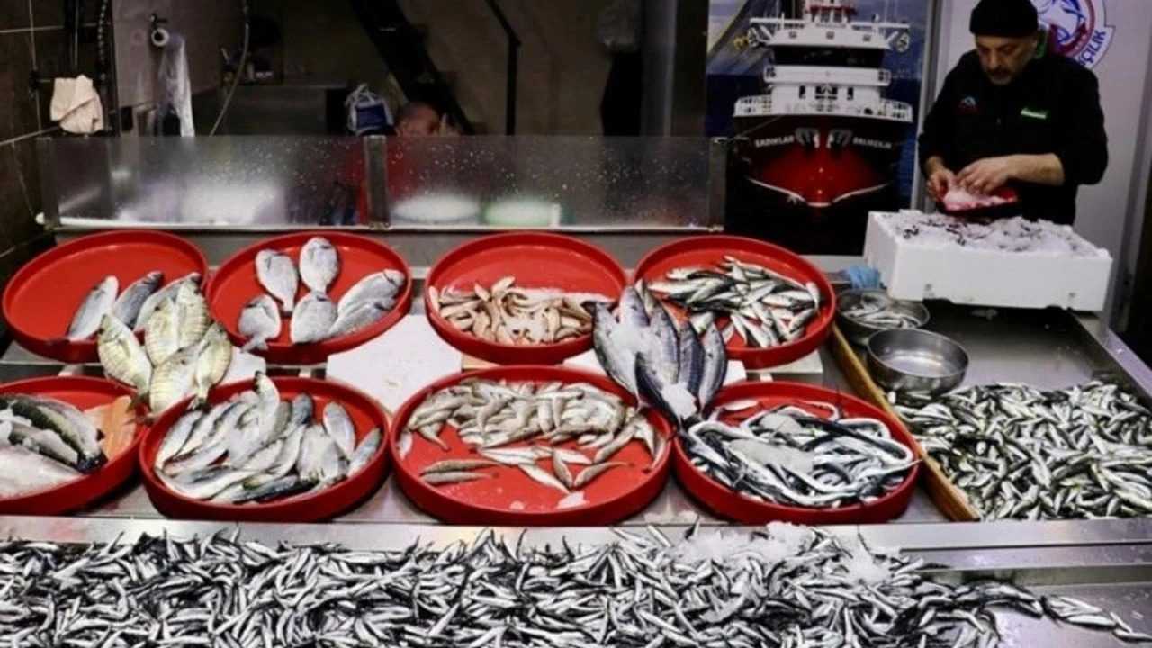 Hamsi Tezgahlarda Ucuz, Vatandaşın İlgi Rekoru 2 Hamsi Tezgahlarda Ucuz Vatandasin Ilgi Rekoru 3
