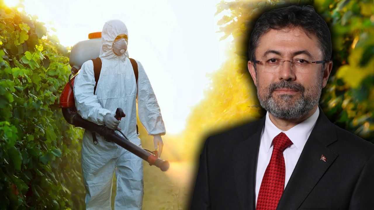 Sokak Lezzetleri ve Zirai İlaçta Büyük Denetim Başlıyor 1 Sokak Lezzetleri ve Zirai Ilacta Buyuk Denetim Basliyor 2