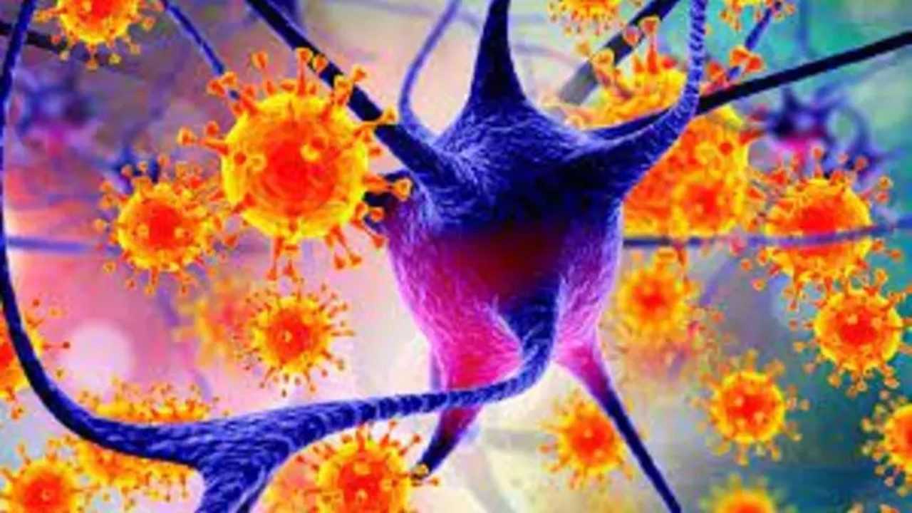 DSO Yakindan Izliyor Nipah Virusu Icin Kritik Aciklama 1