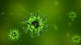 DSÖ Yakından İzliyor: Nipah Virüsü İçin Kritik Açıklama
