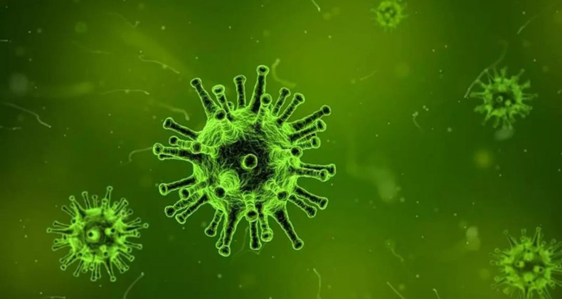 DSÖ Yakından İzliyor: Nipah Virüsü İçin Kritik Açıklama
