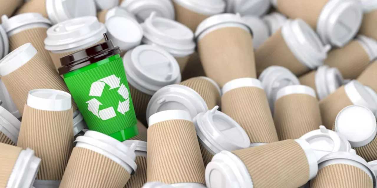 Plastik Bardaklar Kahvenizi Zehirliyor mu? 3 Plastik Bardaklar Kahvenizi Zehirliyor mu 4